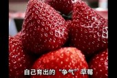 国产草莓在线